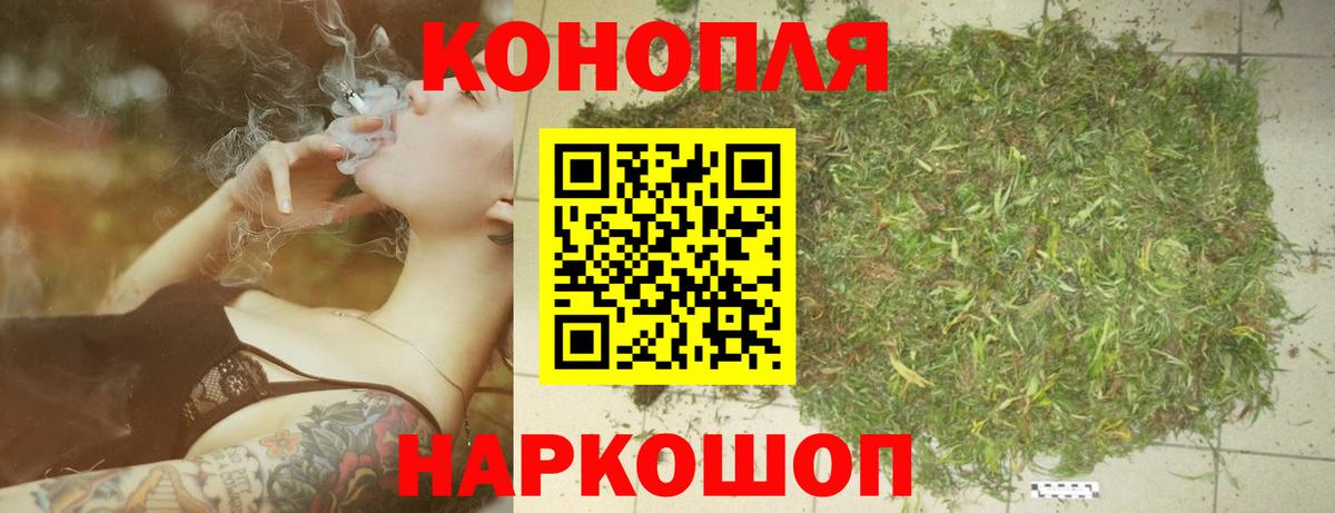 Бошки Шишки VHQ Кимовск